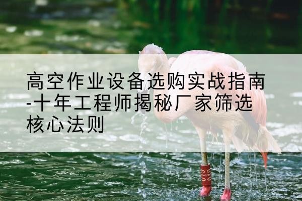 临武剪叉式升降机厂家-高空作业设备选购实战指南-十年工程师揭秘厂家筛选核心法则