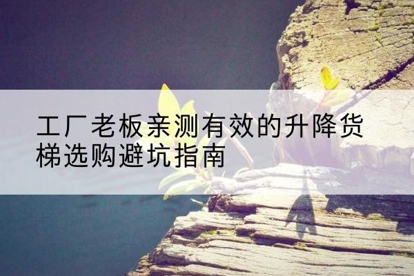 临武升降货梯怎么选-工厂老板亲测有效的升降货梯选购避坑指南