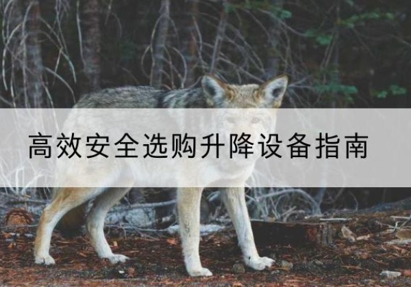 临武升降货梯厂家推荐-*安全选购升降设备指南