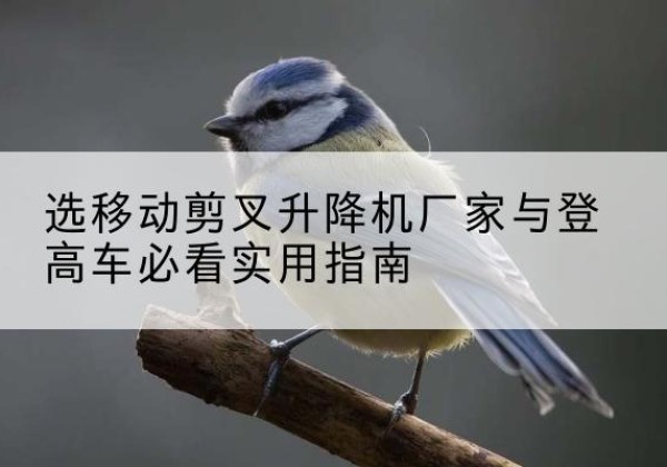 临武电动升降机厂家-选移动剪叉升降机厂家与登高车必看实用指南