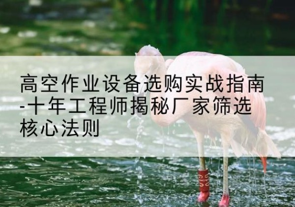 临武剪叉式升降机厂家-高空作业设备选购实战指南-十年工程师揭秘厂家筛选核心法则