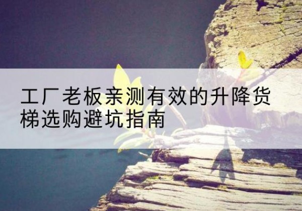 临武升降货梯怎么选-工厂老板亲测有效的升降货梯选购避坑指南